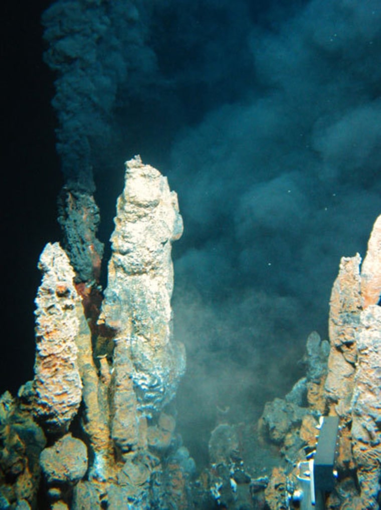 A. fulgidus microbes, which are found in extremely hot hydrothermal vents, can use perchlorate, an ingredient in rocket fuel, for energy.