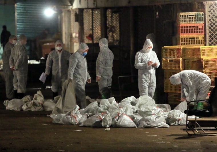 Chinese health workers collect bags of dead chickens at Huhuai wholesale agricultural market in Shanghai on Friday. Authorities in Shanghai began the mass slaughter of poultry at a market after the H7N9 bird flu virus, which has killed five people in China, was detected there, state media said.