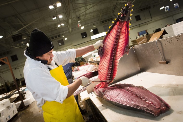 A fishmonger peels the spine from a tuna at the Fulton Fish Market, on March 29, 2013, in New York.