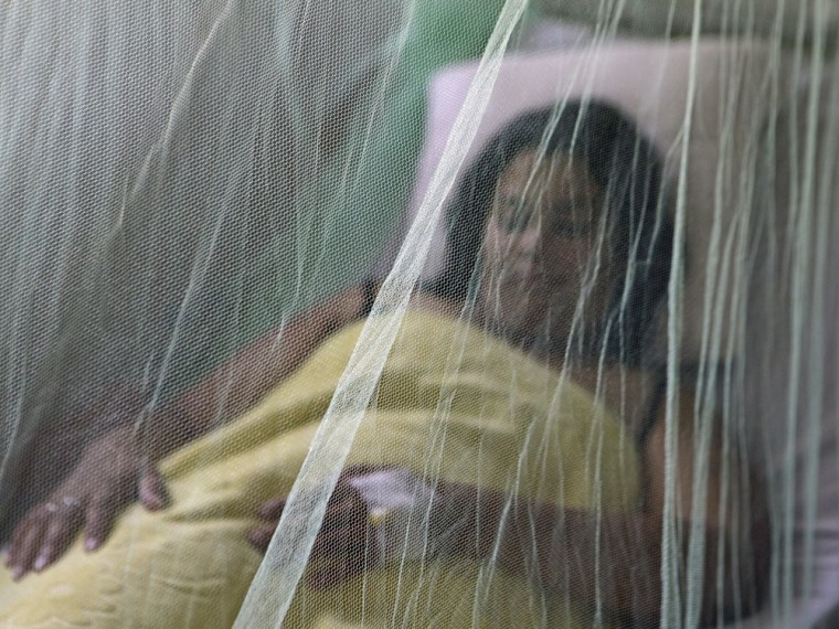 Miriam Torres, 28, veiled by a mosquito net recovers from dengue fever at the Hospital General Barrio Obrero, in Asuncion, Paraguay, Thursday, Jan. 17, 2013.