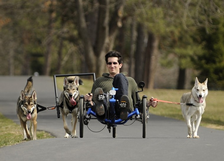 Penn State law student Ben Premack sits on his custom recumbent bicycle as his dogs pull him along the jogging path next to West Park Ave., in State College, Pa., on April 9. Premack customized his bicycle to help exercise his Tamaskan dogs which are bred to pull.