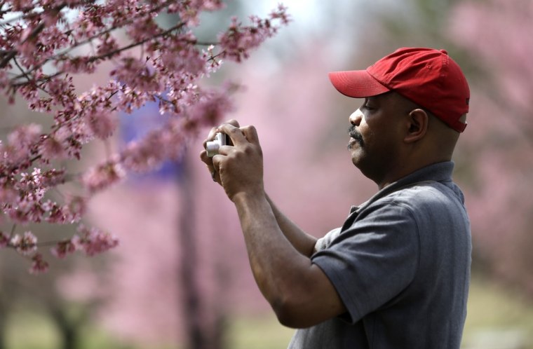 Oliver Coby III, of Irvington, N.J., takes a photo of a cherry blossom tree at Branch Brook Park, on April 9 in Newark, N.J. Warm weather is expected this week, after the northern New Jersey region experienced frigid temperatures during the first couple of weeks of spring.