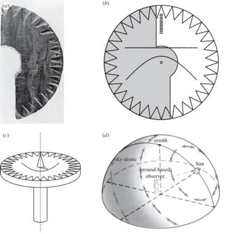 (a) The wooden disc fragment (found in southern Greenland) onto which the Viking navigators scratched some hyperbolic curves [1]. (b) The reconstructed sundial used by the Vikings for navigation on the open sea. The left, gray part of the disc has not been found. (c) Three-dimensional drawing of the Viking sundial with a conical vertical gnomon and its shadow, the endpoint of which touches the hyperbola scratched into the horizontal wooden disc. (d) Sky-polarimetric navigation by Vikings can only function if the direction of skylight polarization (symbolized by double-headed arrows) is perpendicular to the plane of scattering (determined by the sun, the observer and the celestial point observed).