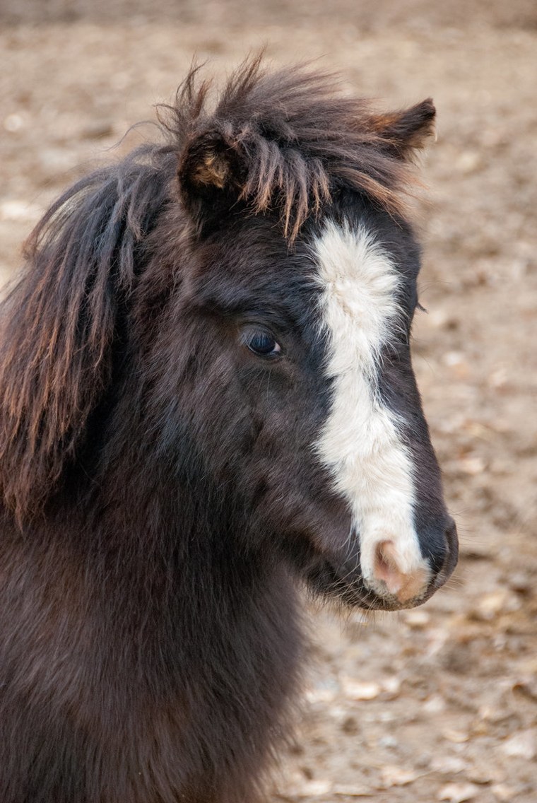 Philadelphia Zoo