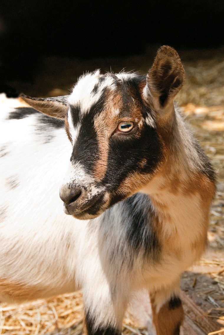 Philadelphia Zoo