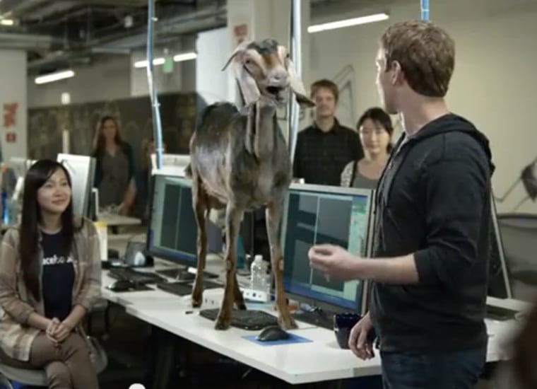 Facebook goat in ad