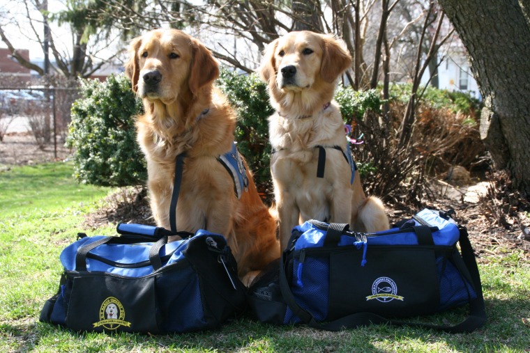 Comfort dogs Ruthie and Luther ready and waiting with their bags packed for Boston.