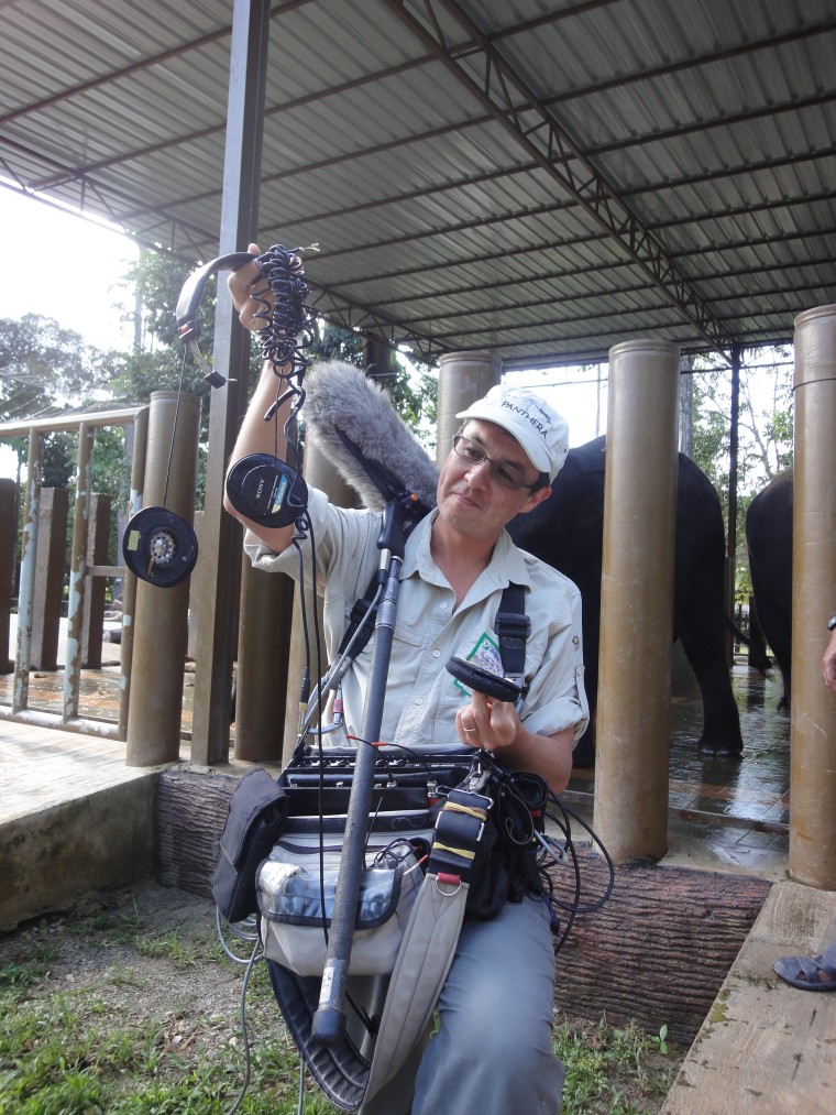 While filming at a elephant sactuary, a baby elephant grabbed sound man Mark Roberts' headphones and decided to stomp on them.