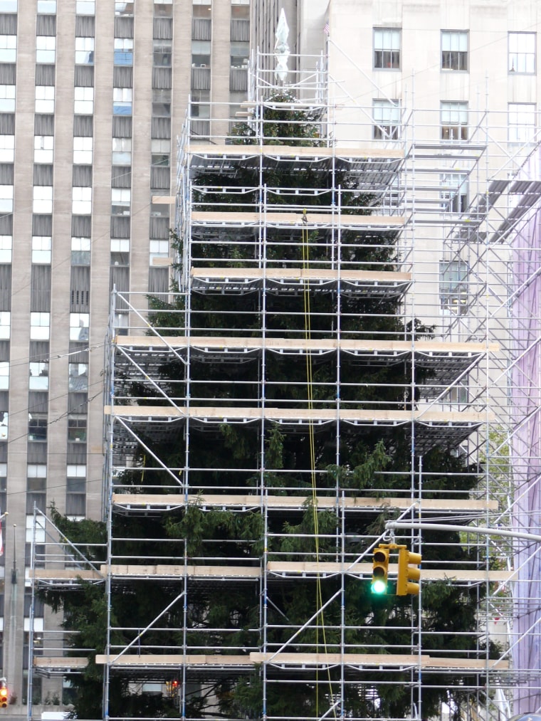 November 19, 2010 Scaffolding is up as workers trim and decorate this world famous tree!