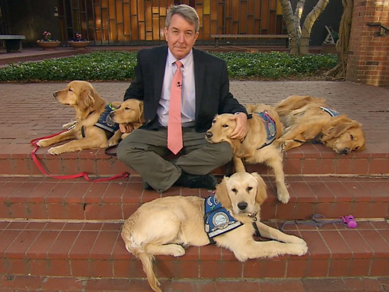 Kerry Sanders and comfort dogs