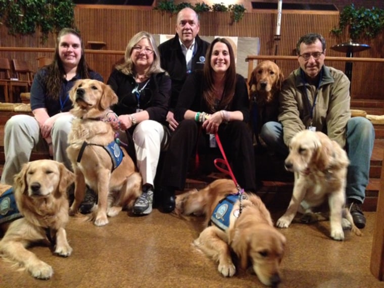 Lutheran Church Charities Canine Comfort Dogs