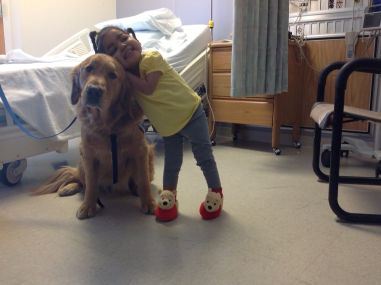 Image: Yenni Campusano, age 2, with a comfort dog