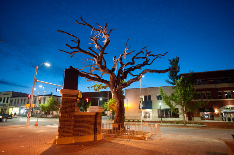 The sun rises the morning that the live oak trees will be cut down by crews from the Asplundh tree service on April 23, 2013 at Toomer's Corner in Auburn, Alabama.