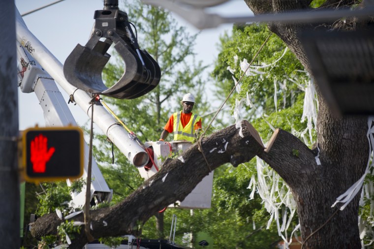 A member of the Asplundh tree service helps cut down an oak tree on April 23, at Toomer's Corner in Auburn, Alabama.