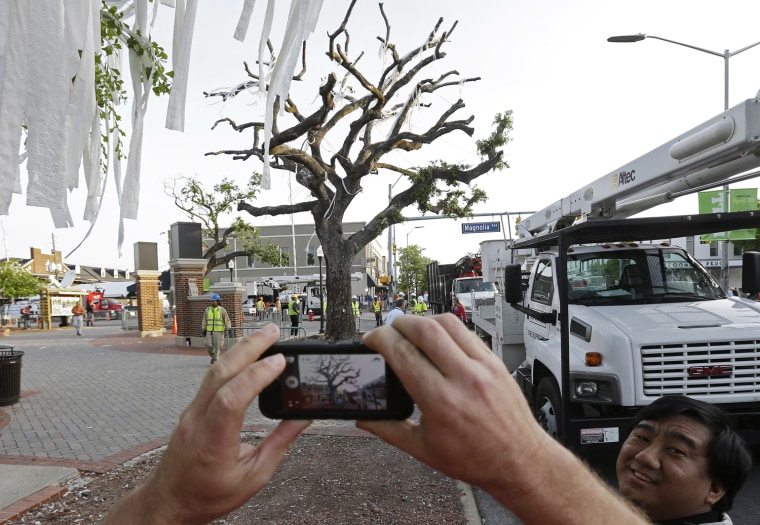 A photographer uses his cell phone to photograph the oak trees at Toomer's Corner at the entrance to Auburn University in Auburn, Ala., Tuesday, April 23, 2013. City workers cut down the poisoned oak trees at the entrance to Auburn University.