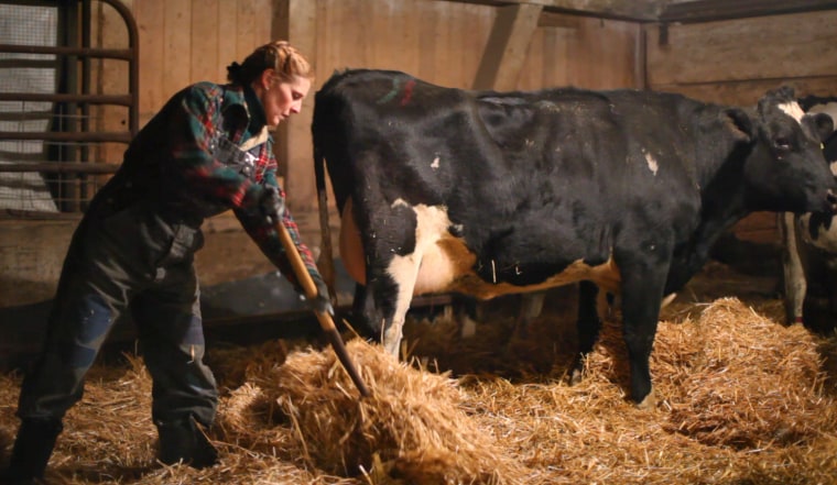 Dairy farmer Susan Troyer Thursday, February 4, 2010, in Goshen, Indiana (John Brecher / msnbc.com)
