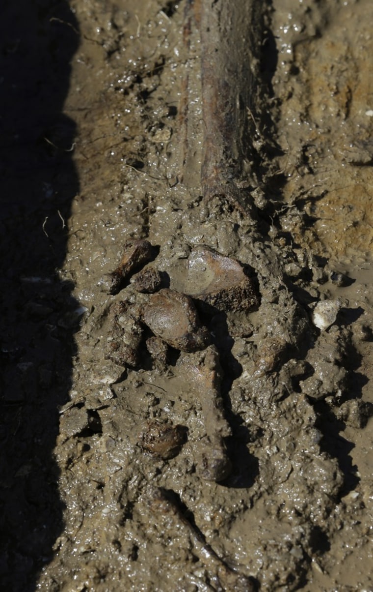 A leg bone and foot are unearthed in a grave site on the north end of Tangier Island, Va., on April 3. Archeologists are excavating a graveyard on the north end of the island which is being lost to the sea. The island and portions of the Virginia coast along Chesapeake Bay are among the 10 places on the planet most-threatened by rising seas.