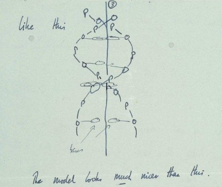 Francis Crick sketched this diagram of the DNA double-helix molecule in a 1953 letter to his son, Michael.