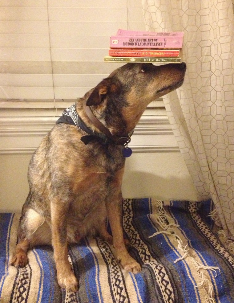 Jack balances a set of books.