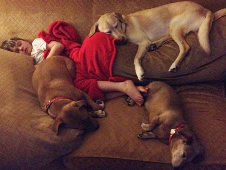 Image: Jonny Hickey takes a nap with his family's three dogs