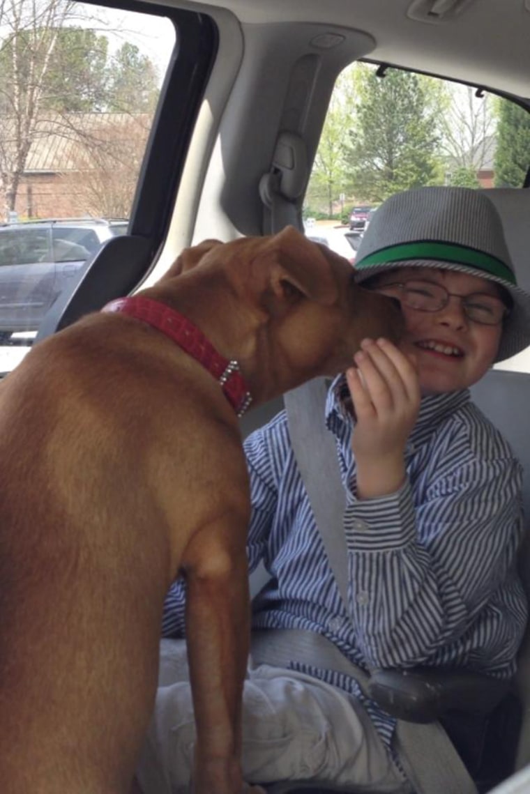 Image: Jonny Hickey and Xena the Warrior Puppy