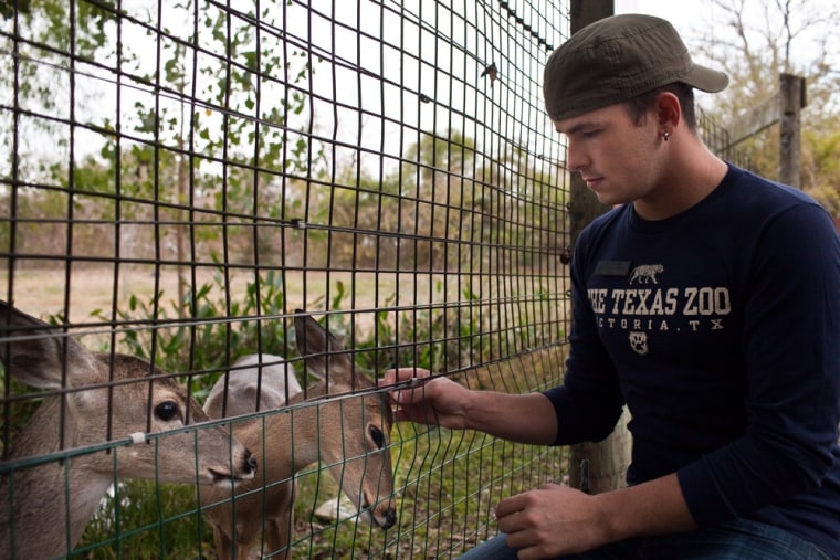 Nathan Palmer checks on white-tailed deer at the Texas Zoo where he is a zookeeper.