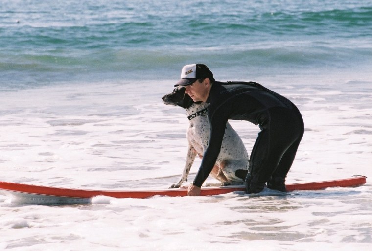 strange hotel jobs, dog surfing instructor