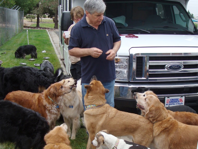 Image: David Rosenfelt with a bunch of dogs