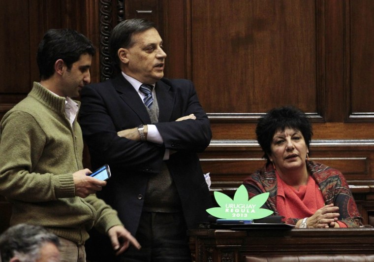 Uruguayan legislators participate in a debate before voting on a bill that regulates marijuana growth and sale advances, in Montevideo July 31, 2013. Uruguay's lower house of Congress voted on Wednesday to create a government body to control the cultivation and sale of marijuana and allow residents to grow it at home or as part of smoking clubs.