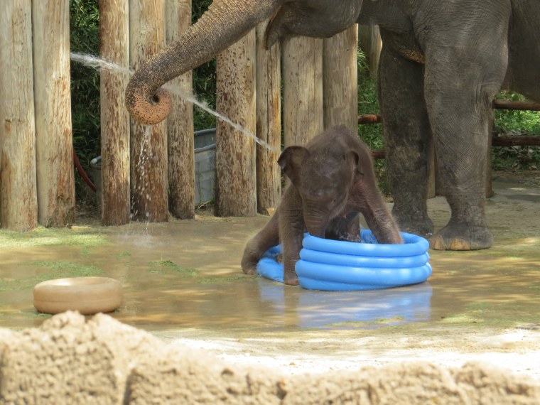 Fort Worth Zoo