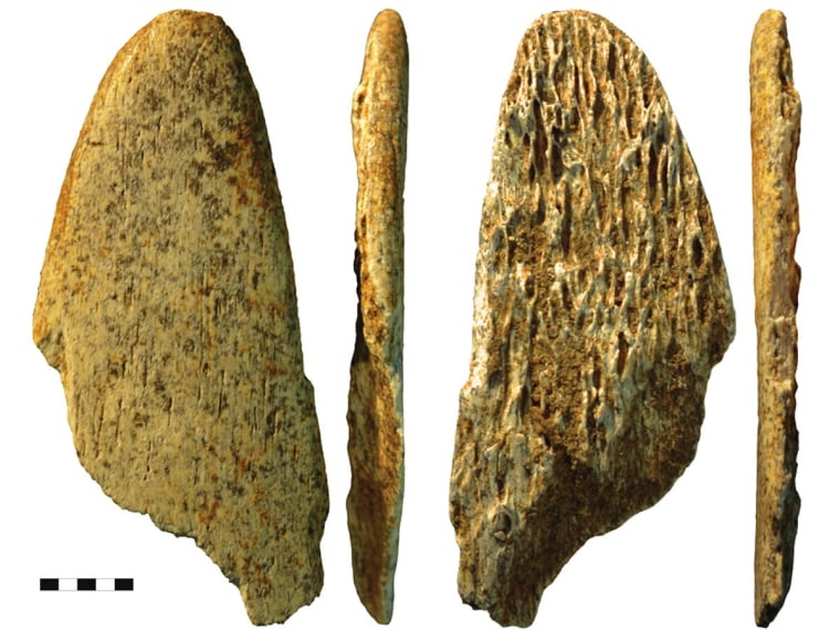 A smoothened tip and long shaft could have allowed early Neanderthals to use the lissoirs to work with animal hides.