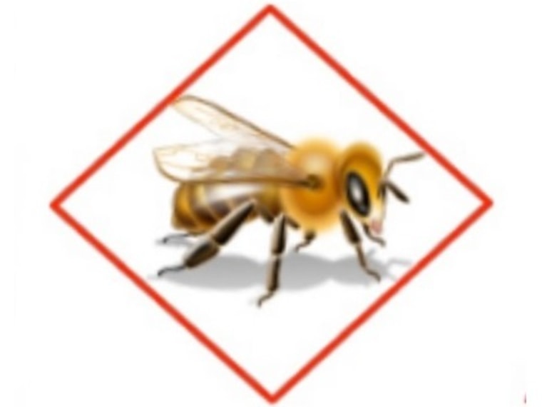 Image: Bee icon