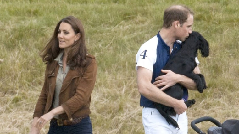 Kate and Will, pictured with their dog Lupo at a polo match, have helped the pup adjust to life with a new baby.