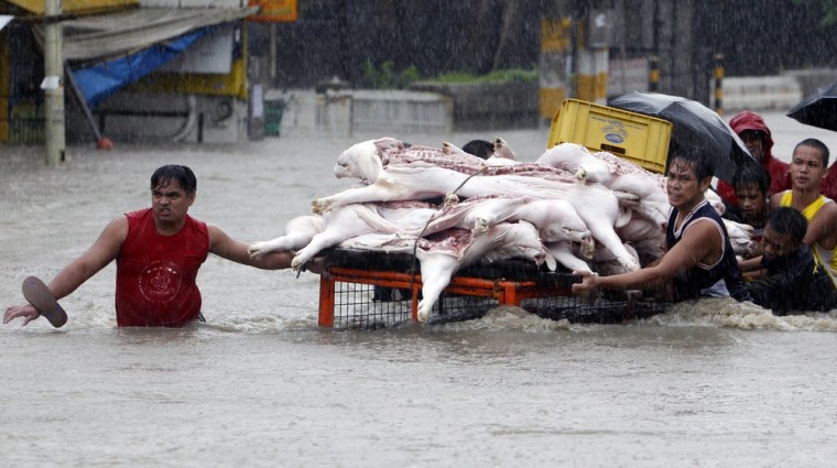 Filipinos transport hog meat in a flooded street in Las Pinas city, south of Manila. Heavy monsoon rain shut down the Philippine capital and killed three people amid severe flooding and landslides, the disaster risk management office said. Four people were missing, including three who were feared to have drowned in floods or swollen rivers, the office said.