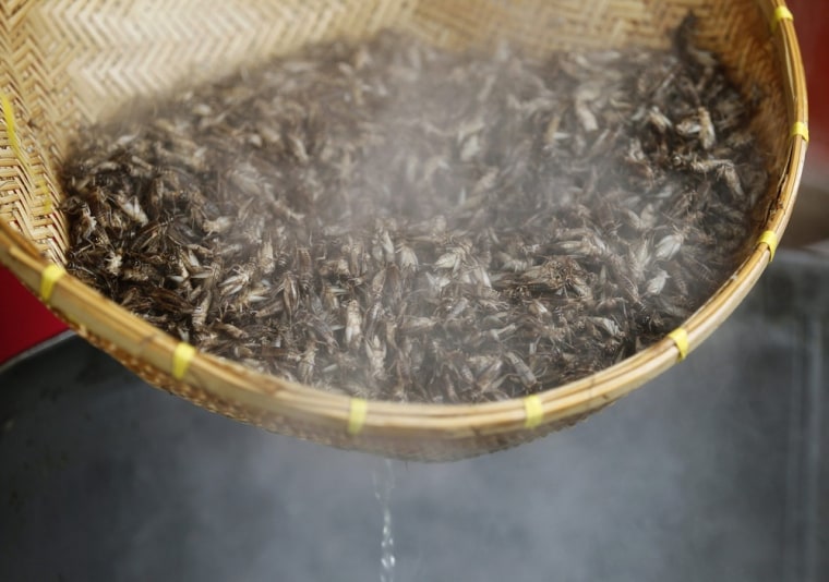 Steam rises above crickets that were boiled in water, on July 8. The insects were sold at the cricket community enterprise center in Mahasarakam province, northeast Thailand.
