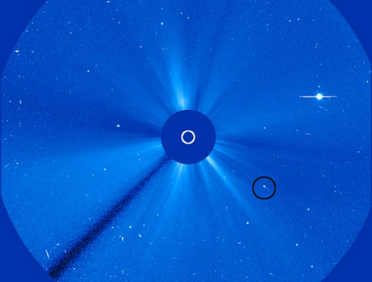 The Solar and Heliospheric Observatory spacecraft captured this view of a small comet (circled) zooming toward the sun on Aug. 19, 2013.