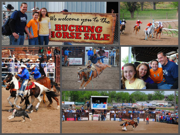 The \"World Famous\" Bucking Horse Sale in Miles City, Montana
