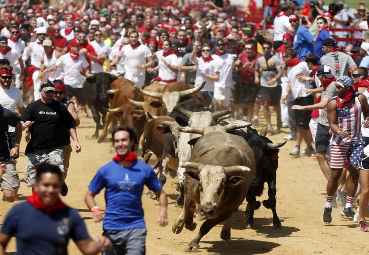 Runners clear out in front of the bulls during The Great Bull Run event at the Virginia Motorsports Park in Dinwiddie, Va., on Saturday, Aug., 24, 2013.