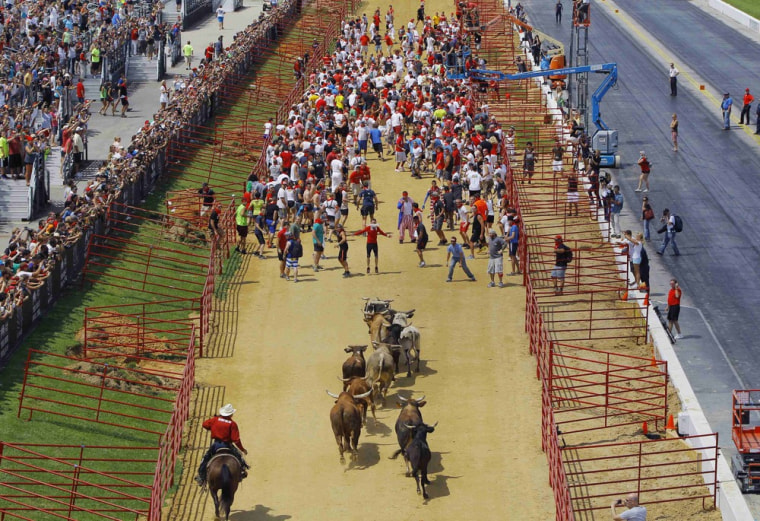 Participants run in the Great Bull Run in Petersburg, Va., Aug. 24, 2013.