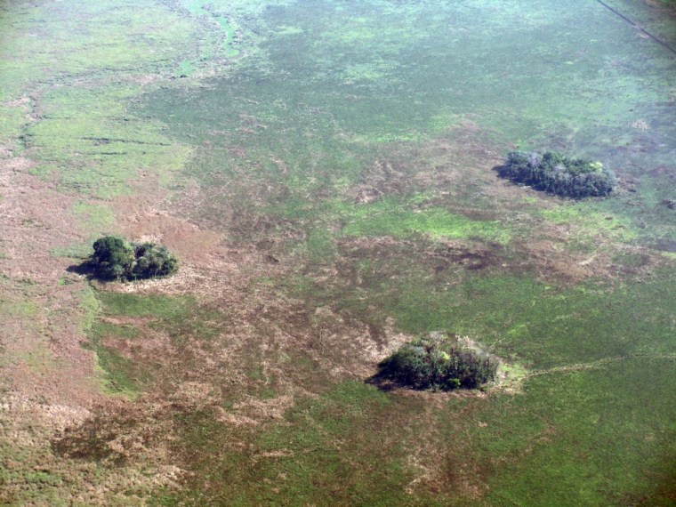 Image: Earthen mounds