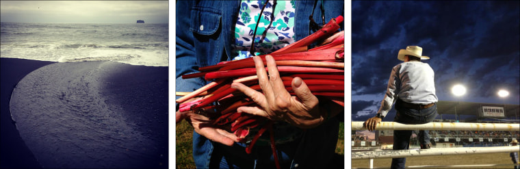 L: Ellen Creek spills into the Pacific at Rialto Beach in Olympic N.P.; C: Home-grown rhubarb destined for a pie, Michigna; R: Nightly rodeo in Cody, ...