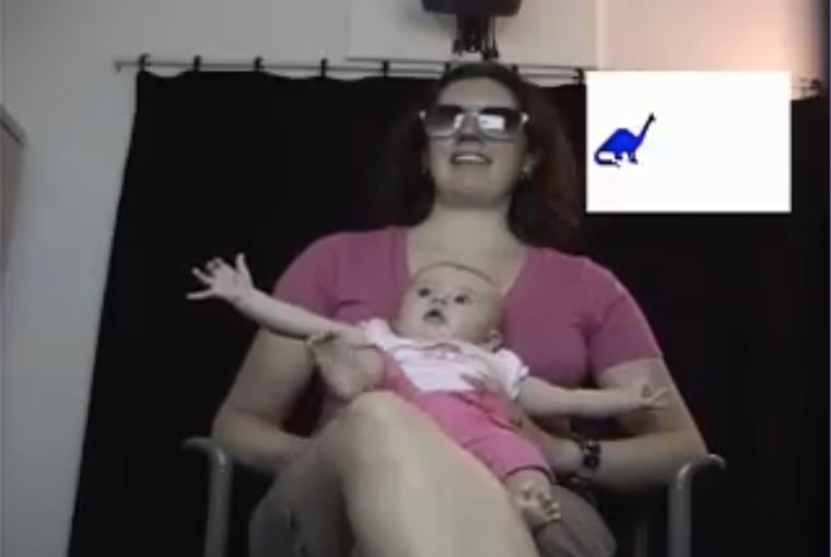 A 3-month-old at Sandra Waxman's lab at Northwestern University gazes at a blue dinosaur projected on the screen in front of her.