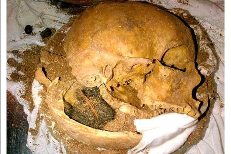 skull fragments