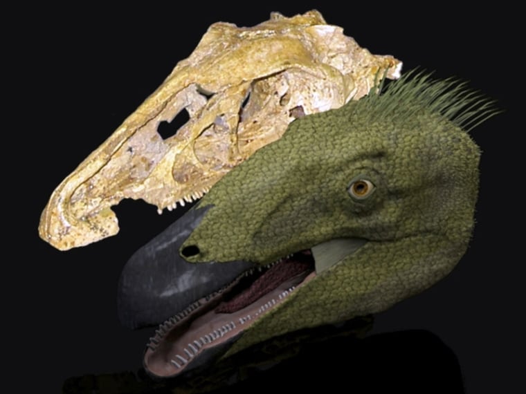 Image: Erlikosaurus