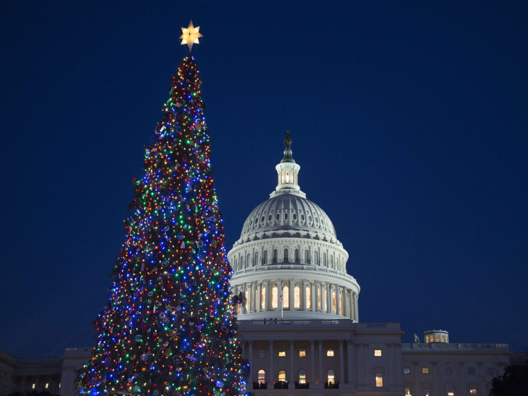 Christmas tree lights up the night at U.S. Capitol