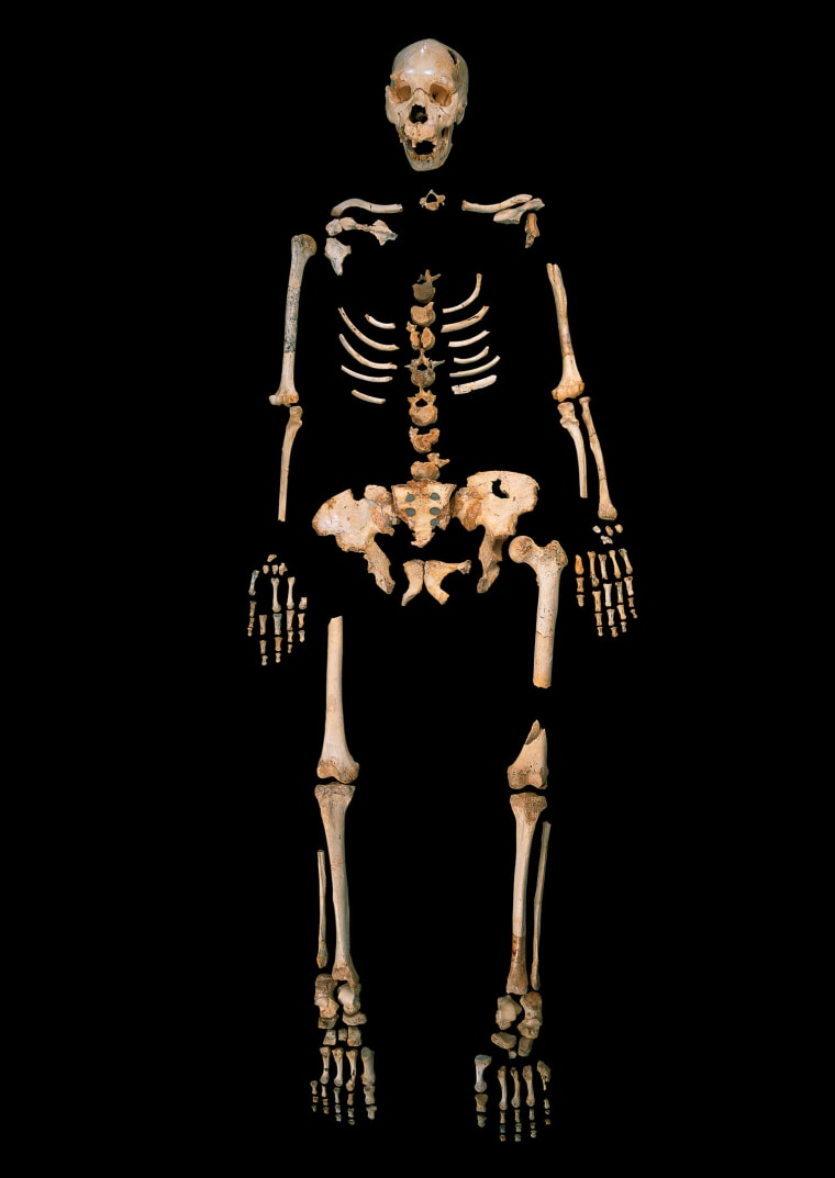 Image: Sima skeleton