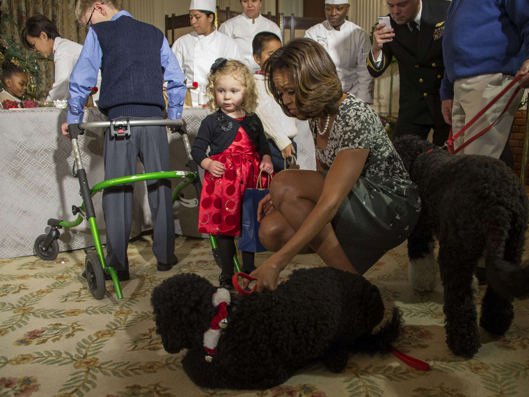 US First Lady Michelle Obama (R) pulls on her dog Sunny as two-year-old Ashtyn Gardner recovers after falling during the White House Christmas decorat...