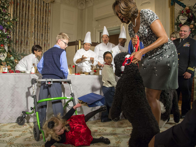 US First Lady Michelle Obama (R) pulls on her dog Sunny as two-year-old Ashtyn Gardner takes a tumble during the White House Christmas decorations vie...