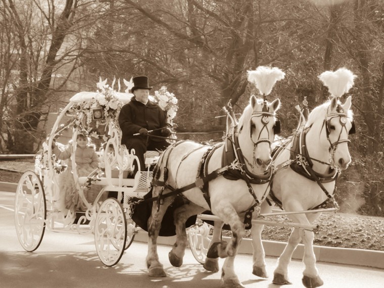 Image: Horse and carriage ride for ill little girl