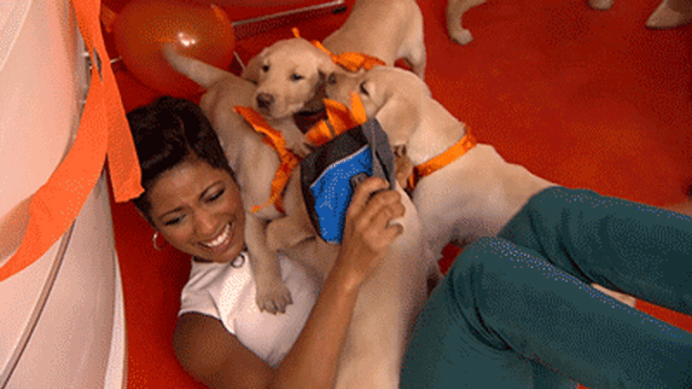 Tamron Hall attacked by adorable puppies in the Orange Room.